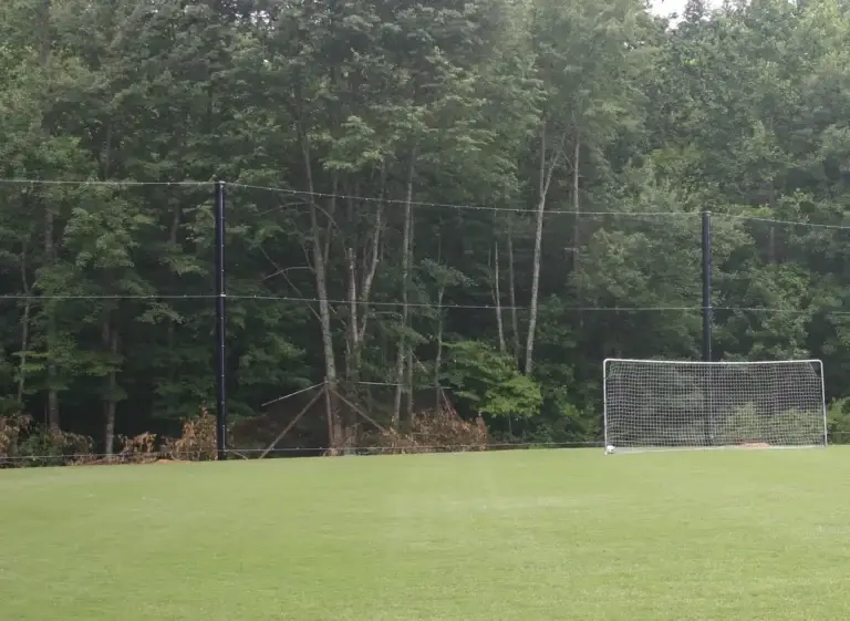 East Goal
