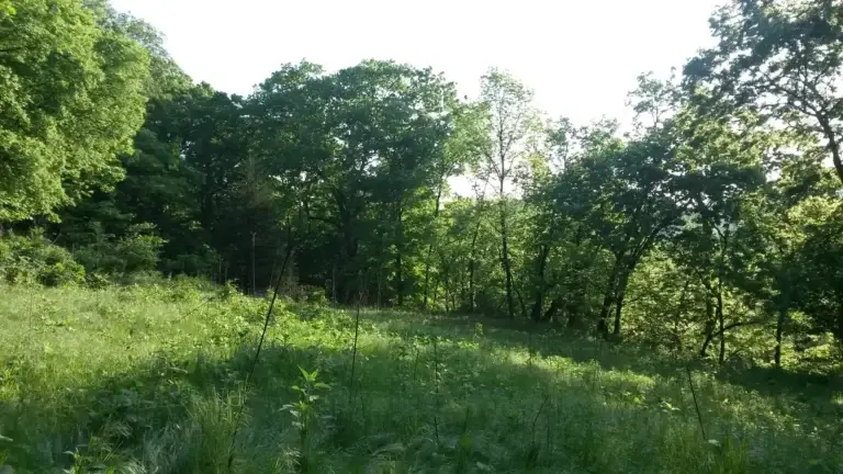 20160427_074306