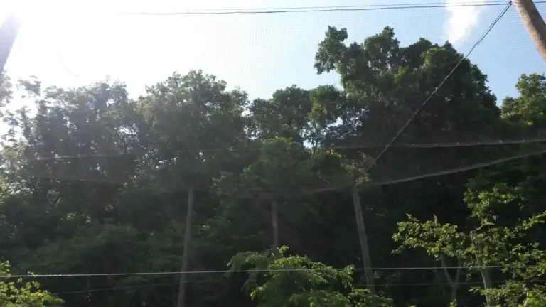 20160510_153753
