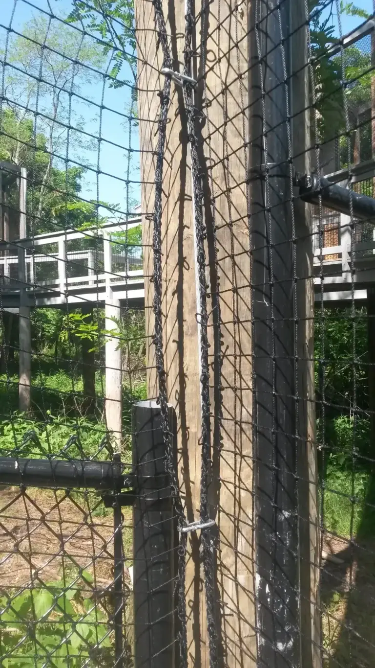 20160513_153354