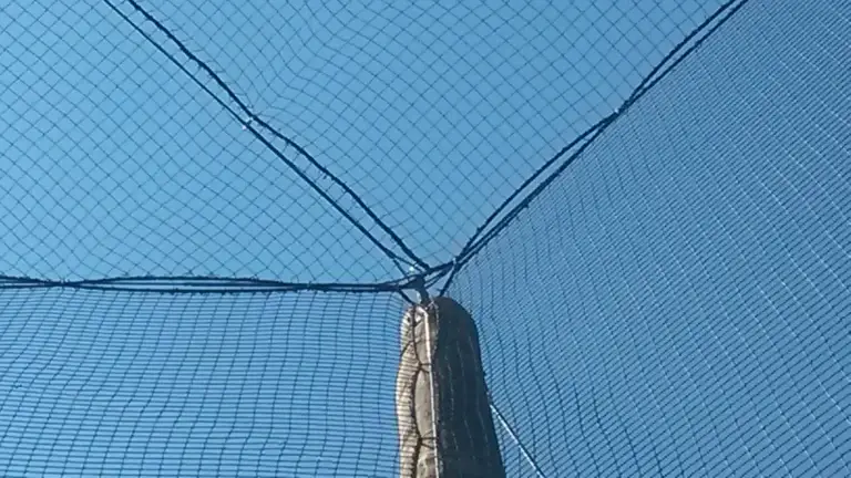 20160513_153536